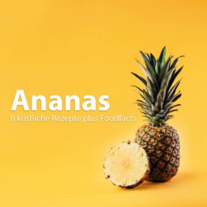 Rezeptbüchlein "Qubie Ananas"